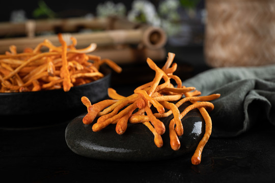 新鮮蟲(chóng)草花