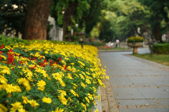 广州沙面公园街景