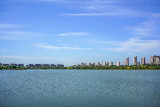 城市高楼景观