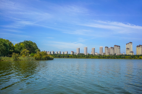 城市高楼景观