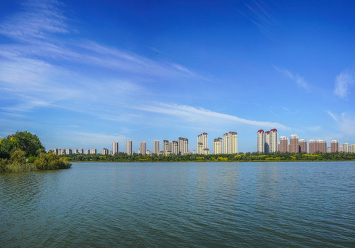 城市高楼全景