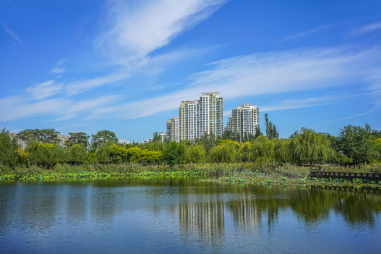 园林水景高清大图