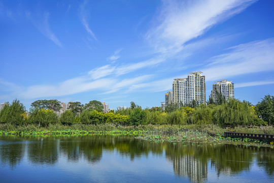 园林水景高清大图