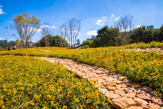 花园小路