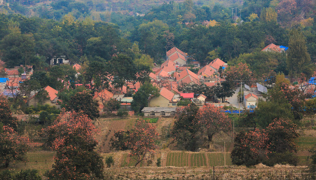 山东山村