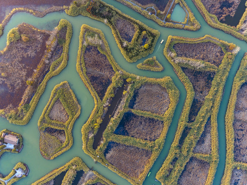 江苏宿迁洪泽湖湿地芦苇迷宫