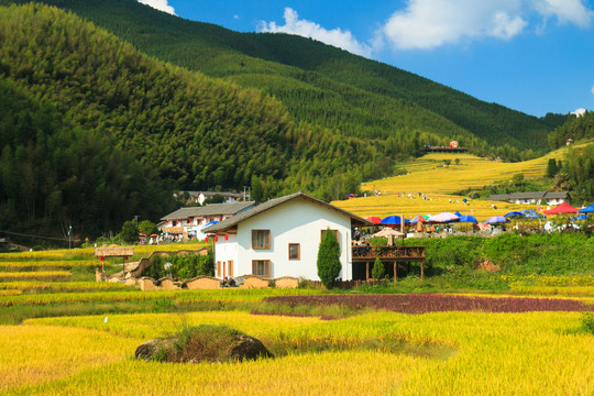 上堡梯田