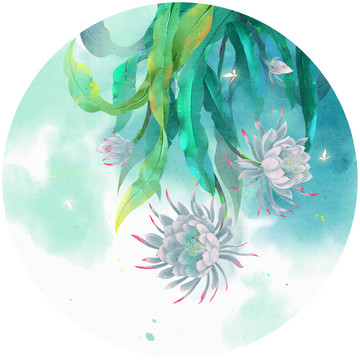 古風(fēng)曇花插畫