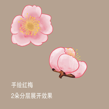 鼠绘梅花