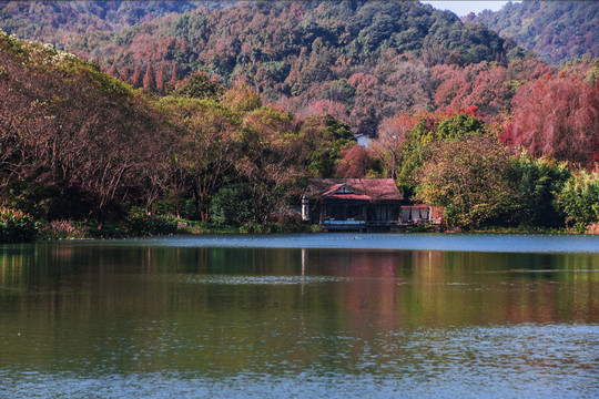 西湖岸边