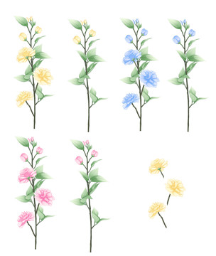 藍色黃色粉色山茶花