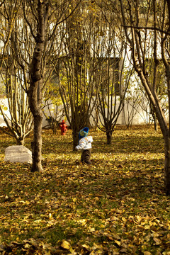 树林中学步的孩童