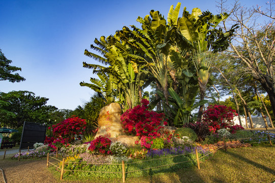 莲花山公园景观