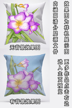 花朵手繪抱枕設(shè)計(jì)