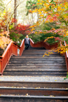 栖霞山步道