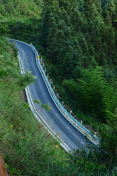 泊油路