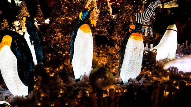 韩国主题乐园圣诞新年企鹅夜景