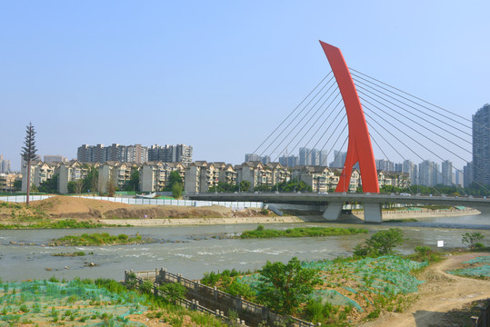 成都锦江上的世纪城路大桥