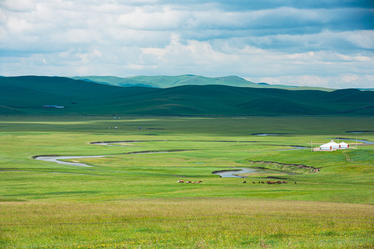 夏季蒙古包草原马群河流