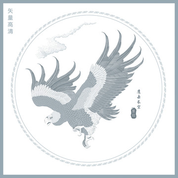 老鷹