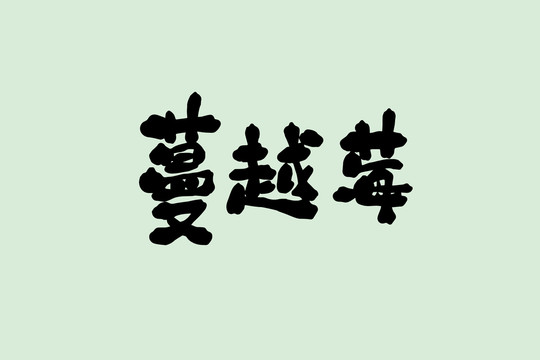 蔓越莓創(chuàng)意卡通藝術字