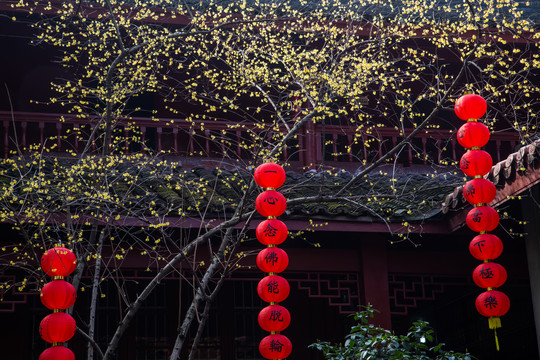 杭州法喜寺