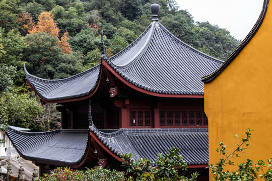 杭州法净寺