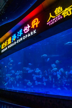 水族馆海洋世界