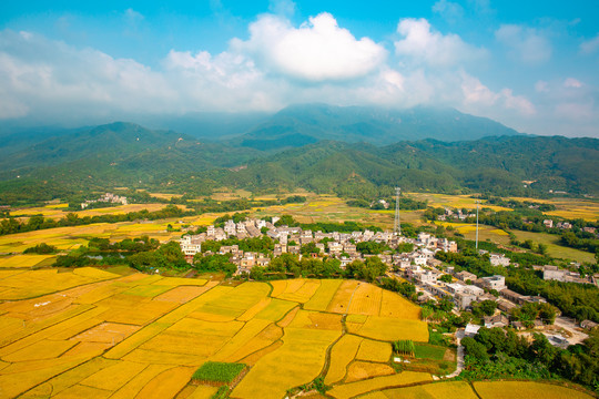 乡村秋景