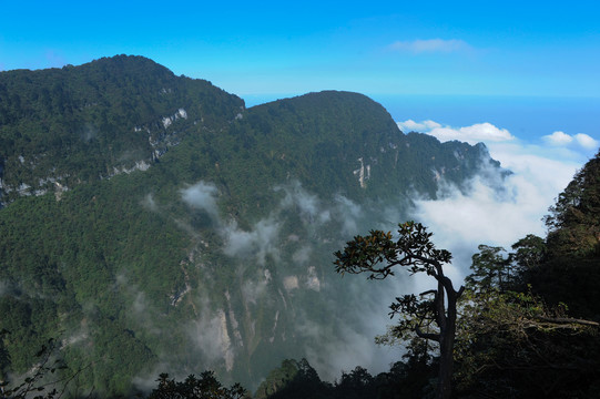 峨眉山風景風光