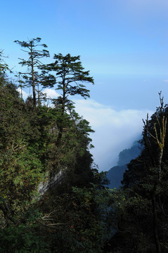 峨眉山风景风光