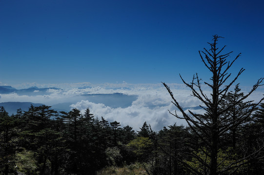 峨眉山风景风光