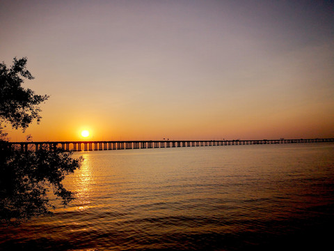 西湾红树林公园夕阳美景