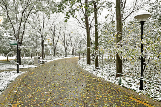 河北省石家庄裕华区绿洲公园雪景