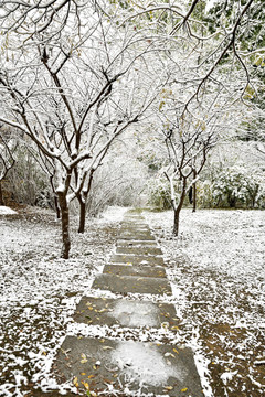 河北省石家庄裕华区绿洲公园雪景