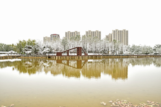 河北省石家庄裕华区东环公园雪景