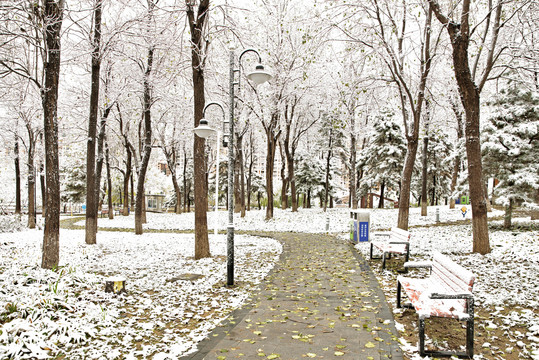 河北省石家庄裕华区东环公园雪景