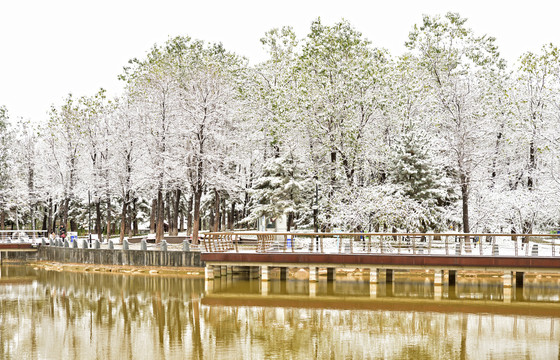 河北省石家庄裕华区东环公园雪景