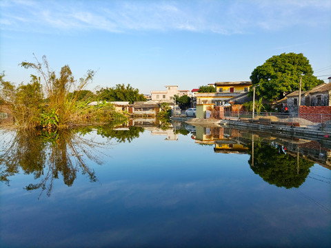 鱼塘风景