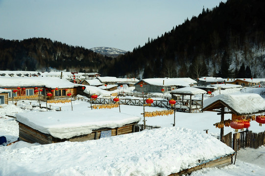 冬天积满白雪有红灯笼的乡村