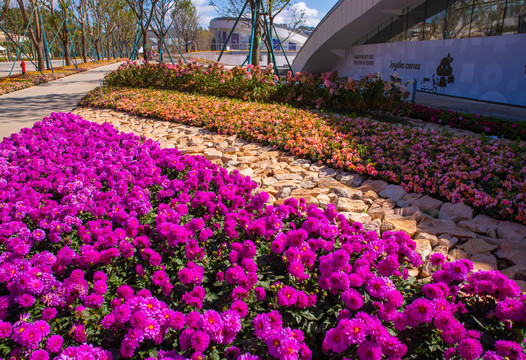 鲜花花坛