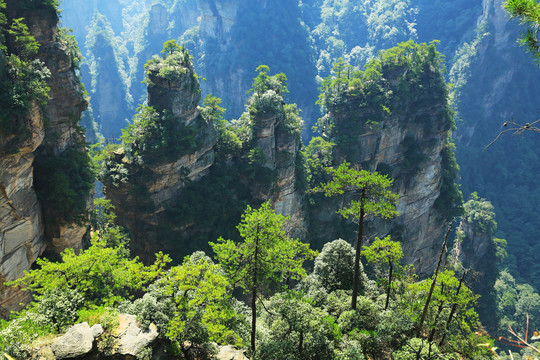 张家界砂岩峰林地质景观