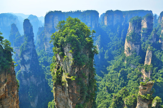 张家界砂岩峰林地质景观