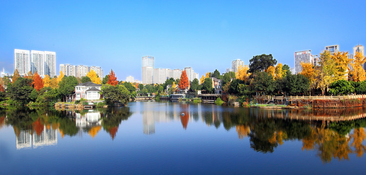 两江新区龙湖地产全景