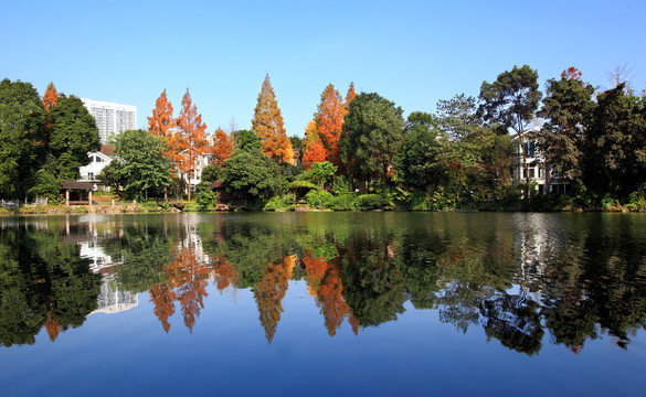 两江新区风光