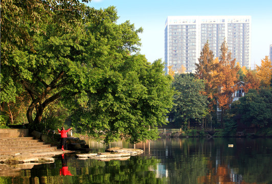 两江新区湿地公园