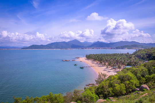 大树岛风光