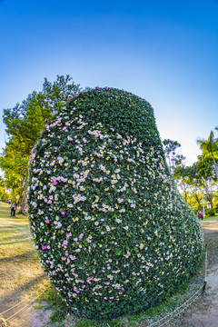 花坛造型