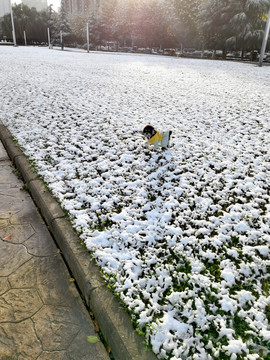 城市雪后清晨