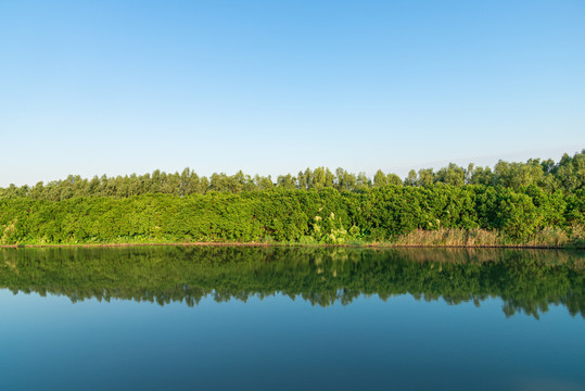 南沙湿地公园生态旅游风景